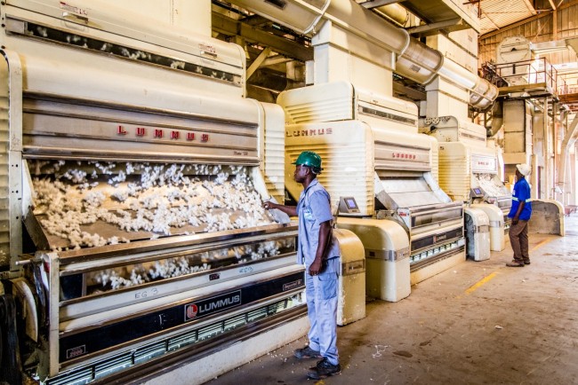 Les « machines d'égrenage » d'Ivoire Coton séparent les graines de coton de la fibre
